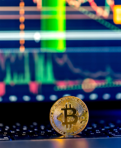 Tolfex Trading Informationen